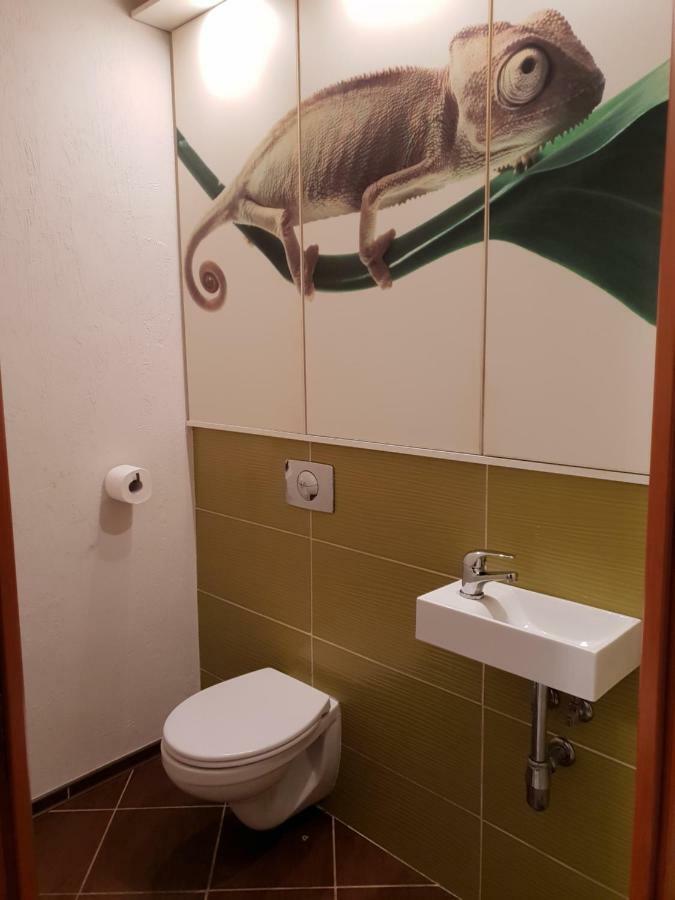 Apartament Szafir Zielona Góra Zewnętrze zdjęcie